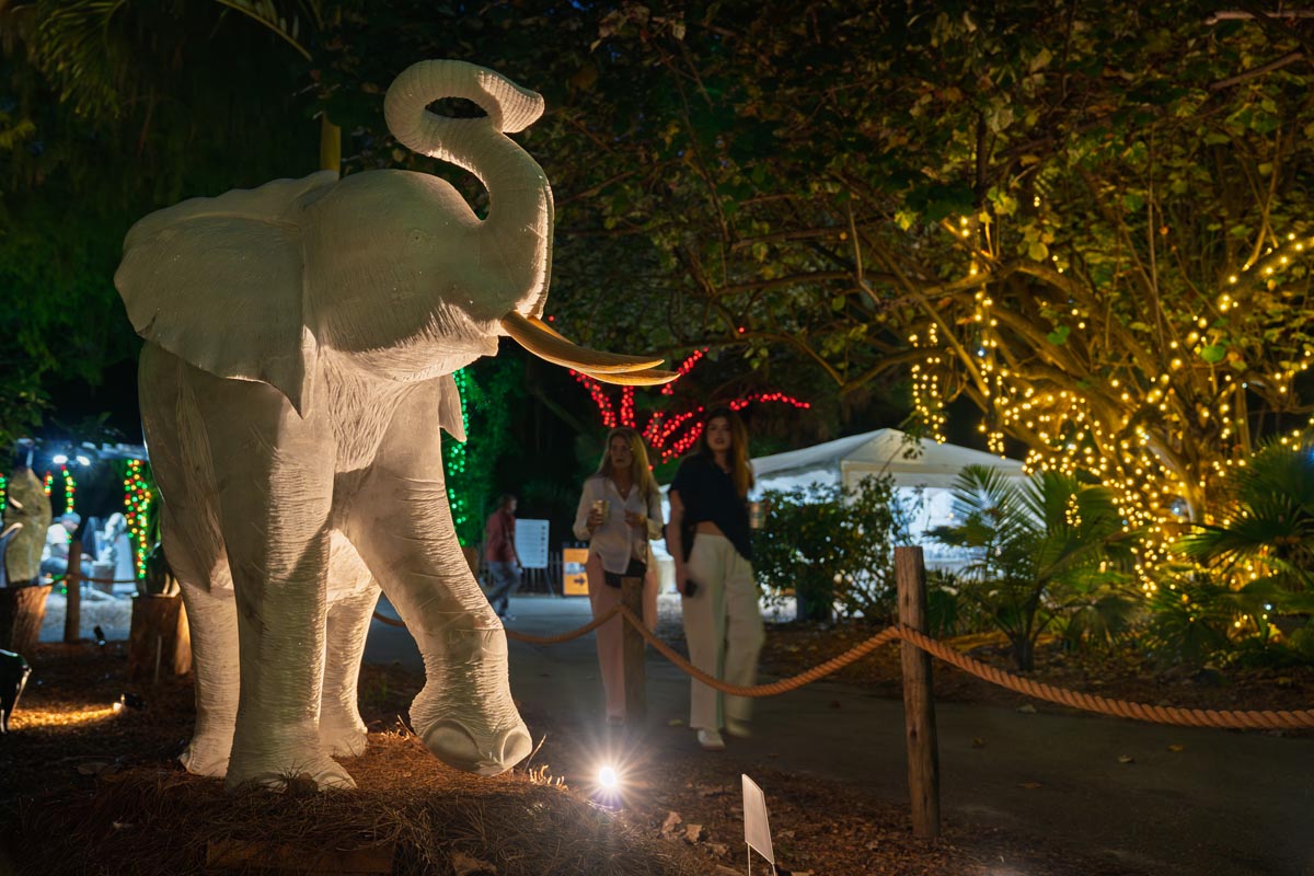 Zimbabwean Stone Sculptures Arrives at Palm Beach Zoo
