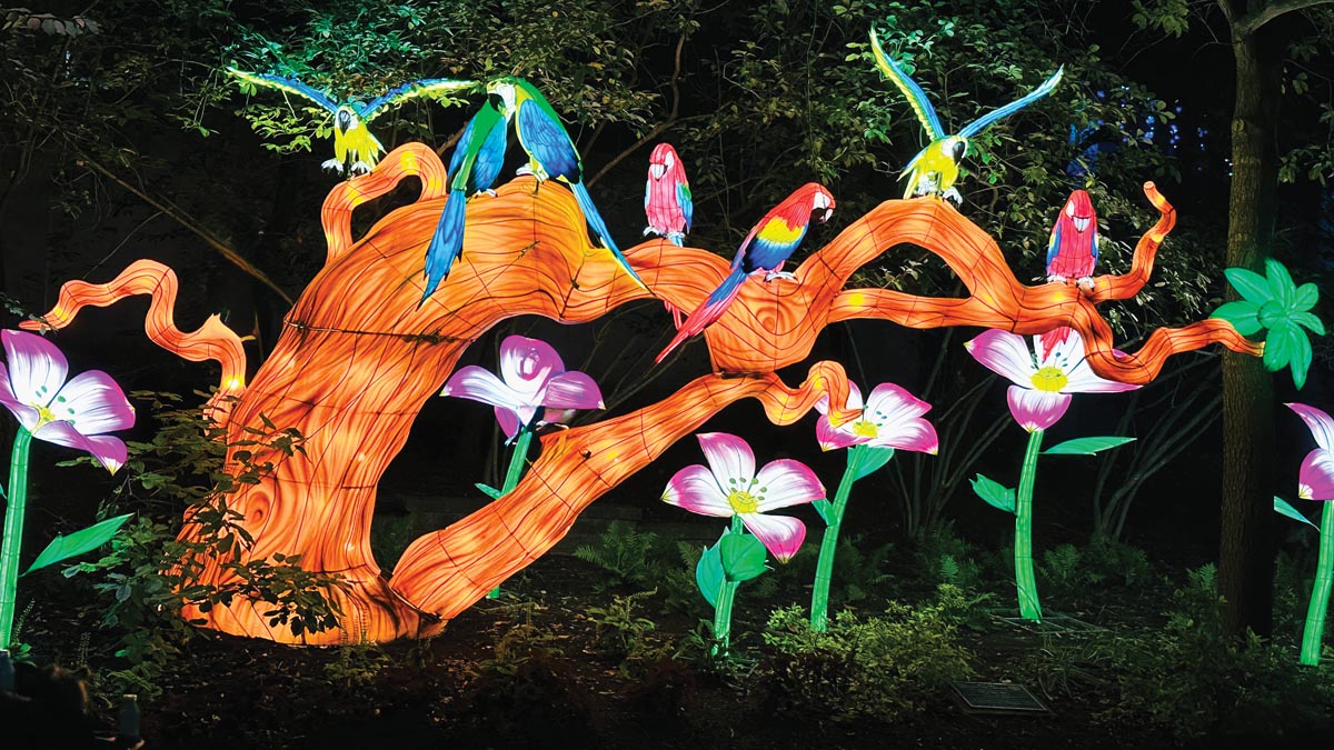 Tour “Ilumina: A Tropical Garden Lantern Festival”