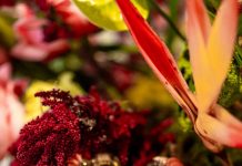 American jewelry house David Webb launched its exclusive, in-store boutique with Marissa Collections. Photo courtesy of Marissa Collections